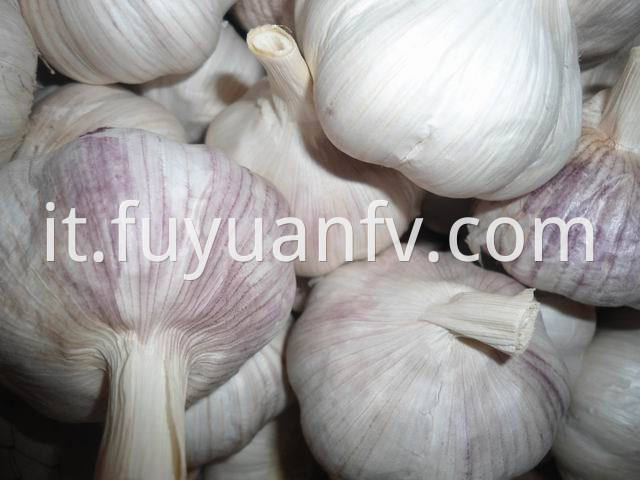 garlic brzil (10)